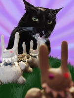https://www.branjofarms.com/files/gimgs/th-17_17_escapeziggywebz.jpg