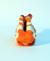 https://www.branjofarms.com/files/gimgs/th-22_22_clownfish4cardholder.jpg