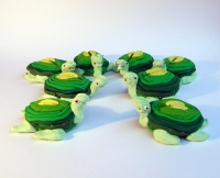 https://www.branjofarms.com/files/gimgs/th-22_22_turtlegroup5cardholder.jpg