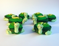 https://www.branjofarms.com/files/gimgs/th-22_22_turtlegroup6cardholder.jpg