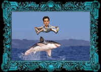 https://www.branjofarms.com/files/gimgs/th-40_40_sheenjumpsharkframed.jpg
