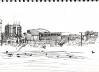 https://www.branjofarms.com/files/gimgs/th-45_45_beachsketch.jpg