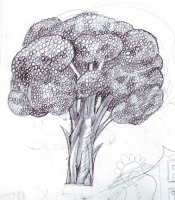 https://www.branjofarms.com/files/gimgs/th-45_45_broccolisketch.jpg