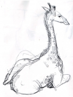 https://www.branjofarms.com/files/gimgs/th-45_45_giraffesketch2.jpg
