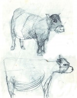 https://www.branjofarms.com/files/gimgs/th-45_45_moocowz.jpg
