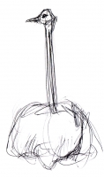 https://www.branjofarms.com/files/gimgs/th-45_45_ostrich.jpg
