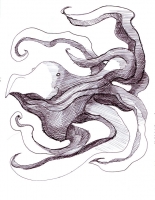 https://www.branjofarms.com/files/gimgs/th-46_46_birdsquid.jpg