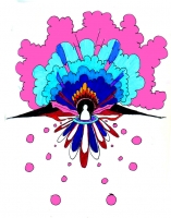 https://www.branjofarms.com/files/gimgs/th-46_46_buddhasplosion.jpg
