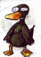 https://www.branjofarms.com/files/gimgs/th-48_48_ducksketch.jpg