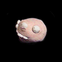 https://www.branjofarms.com/files/gimgs/th-49_49_003.jpg