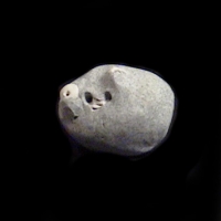 https://www.branjofarms.com/files/gimgs/th-49_49_004.jpg