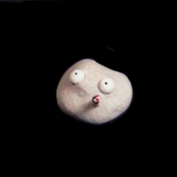 https://www.branjofarms.com/files/gimgs/th-49_49_006.jpg