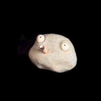 https://www.branjofarms.com/files/gimgs/th-49_49_007.jpg