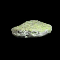 https://www.branjofarms.com/files/gimgs/th-49_49_008.jpg