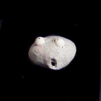 https://www.branjofarms.com/files/gimgs/th-49_49_009.jpg