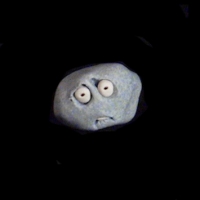 https://www.branjofarms.com/files/gimgs/th-49_49_010.jpg