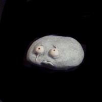 https://www.branjofarms.com/files/gimgs/th-49_49_012-ii.jpg