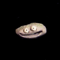 https://www.branjofarms.com/files/gimgs/th-49_49_015.jpg