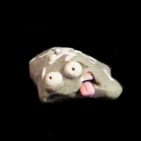 https://www.branjofarms.com/files/gimgs/th-49_49_019.jpg