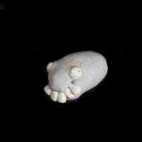 https://www.branjofarms.com/files/gimgs/th-49_49_020-ii.jpg