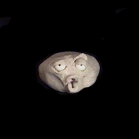 https://www.branjofarms.com/files/gimgs/th-49_49_021.jpg
