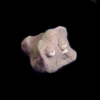 https://www.branjofarms.com/files/gimgs/th-49_49_024-ii.jpg