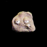 https://www.branjofarms.com/files/gimgs/th-49_49_024.jpg