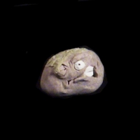 https://www.branjofarms.com/files/gimgs/th-49_49_027.jpg
