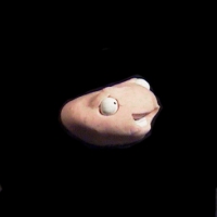 https://www.branjofarms.com/files/gimgs/th-49_49_034.jpg
