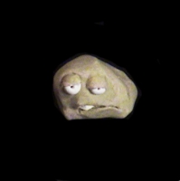 https://www.branjofarms.com/files/gimgs/th-49_49_035.jpg