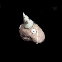 https://www.branjofarms.com/files/gimgs/th-49_49_038-ii.jpg