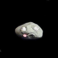 https://www.branjofarms.com/files/gimgs/th-49_49_040.jpg