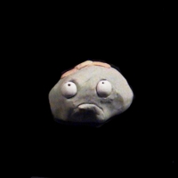 https://www.branjofarms.com/files/gimgs/th-49_49_050.jpg