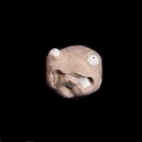 https://www.branjofarms.com/files/gimgs/th-49_49_052.jpg