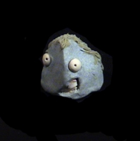 https://www.branjofarms.com/files/gimgs/th-49_49_055-ii.jpg