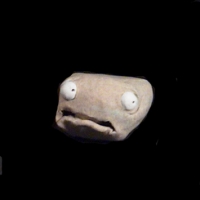 https://www.branjofarms.com/files/gimgs/th-49_49_057.jpg