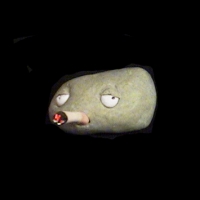 https://www.branjofarms.com/files/gimgs/th-49_49_059.jpg