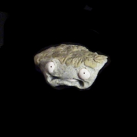 https://www.branjofarms.com/files/gimgs/th-49_49_066.jpg