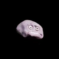 https://www.branjofarms.com/files/gimgs/th-49_49_123.jpg