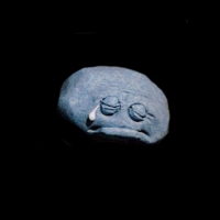 https://www.branjofarms.com/files/gimgs/th-49_49_125.jpg