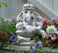 https://www.branjofarms.com/files/gimgs/th-5_5_ganesha.jpg