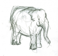 https://www.branjofarms.com/files/gimgs/th-65_65_elephant1.jpg