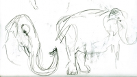 https://www.branjofarms.com/files/gimgs/th-65_65_elephantt4.jpg