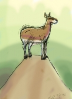 https://www.branjofarms.com/files/gimgs/th-65_65_klipspringercolor.jpg