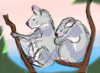 https://www.branjofarms.com/files/gimgs/th-65_65_koala2color.jpg