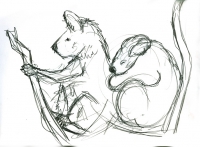 https://www.branjofarms.com/files/gimgs/th-65_65_koala2sketch.jpg