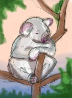 https://www.branjofarms.com/files/gimgs/th-65_65_koala3color.jpg