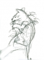 https://www.branjofarms.com/files/gimgs/th-65_65_koalasketch.jpg