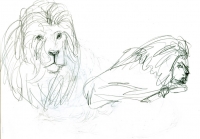 https://www.branjofarms.com/files/gimgs/th-65_65_lion1.jpg