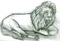https://www.branjofarms.com/files/gimgs/th-65_65_lion3.jpg